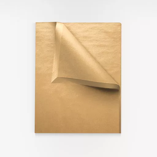 3601343 Kraft Tissue.png