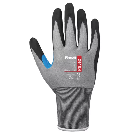 pg562-back-of-glove_1_.png?