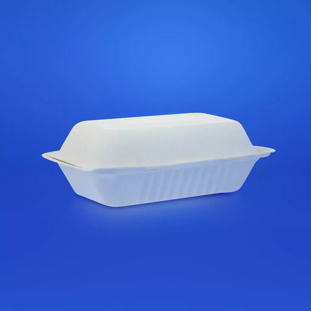 What is Bagasse? 8 Reasons Sugarcane Fibre is the Leading Alternative to Plastic Packaging