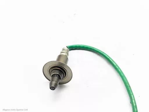 e6f5bddf-977e-4d1f-b3c3-64a5d4ffe7de.jpeg?