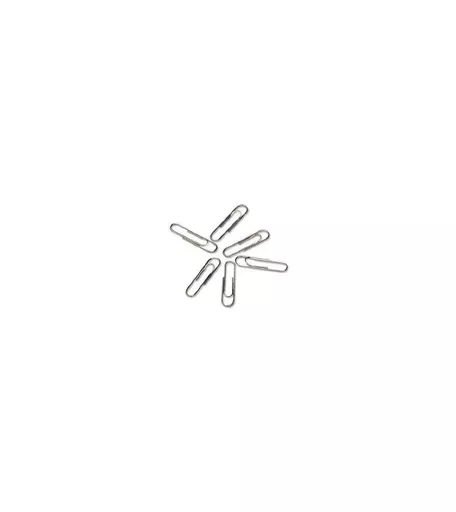 Paper Clips -  Pack of 100