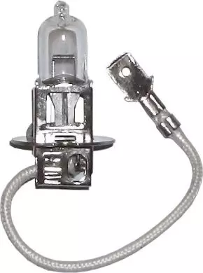 EB460 Bulbs Halogen 24v-70w PK22S H3 CAP ( Pack of 1 )