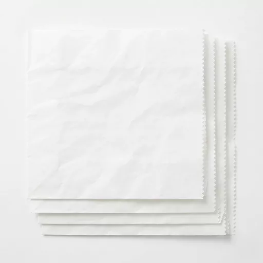 PAPERBAG000856-2.png