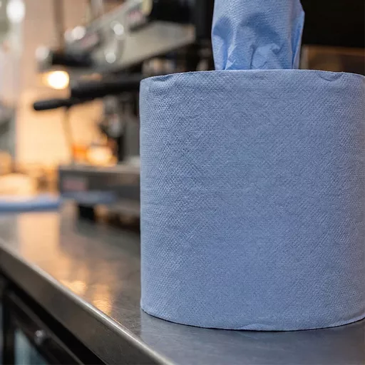 166mm x 120mm 2-Ply Centrefeed Roll Blue_0000s_0000_JAN000092.jpg