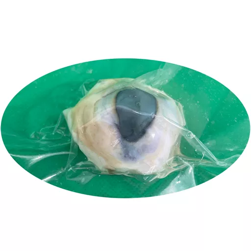 Sheeps eye