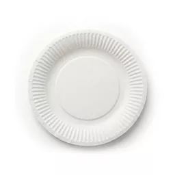 _0000s_0000_6_ Paper Plate.jpg