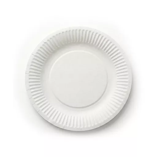 _0000s_0000_6_ Paper Plate.jpg