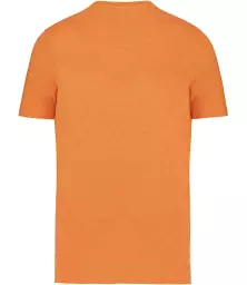 NS300%20CLH%20BACK.jpg?
