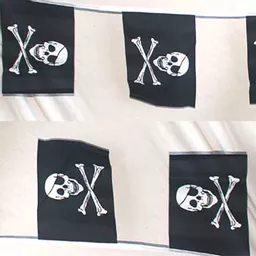 Pirate Bunting.jpg