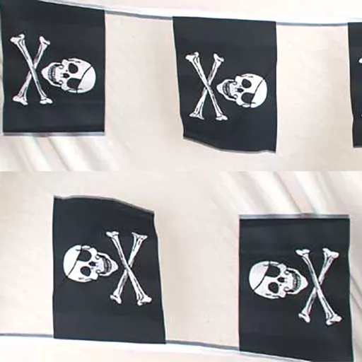 Pirate Bunting