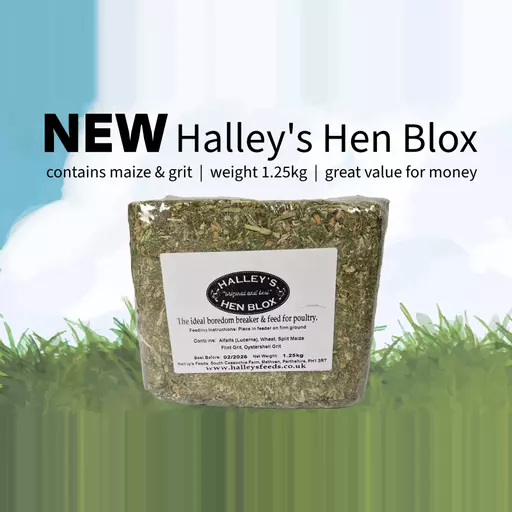 Halley's Hen Blox Pecking Blocks (1.25 kg)