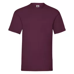 Men's Valueweight T-Shirt