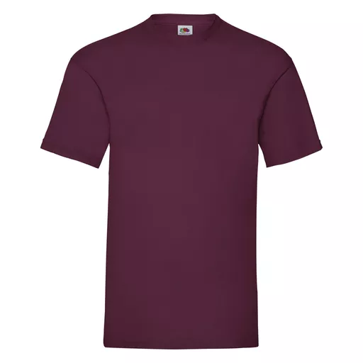 Men's Valueweight T-Shirt