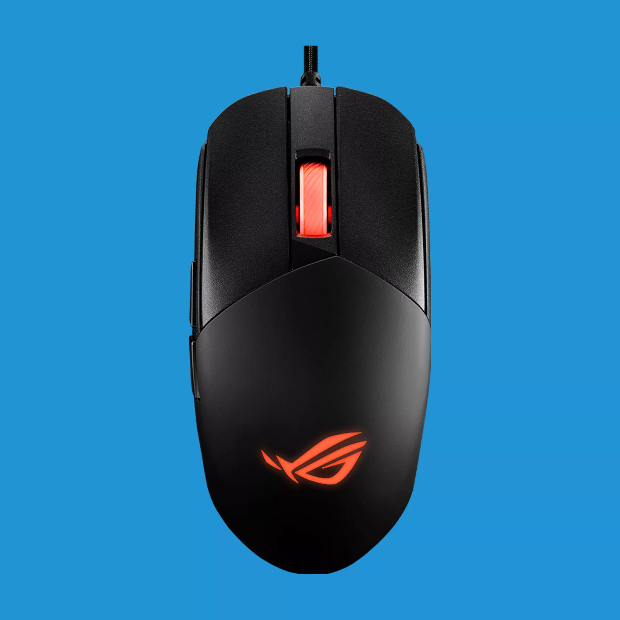 mouse.jpg