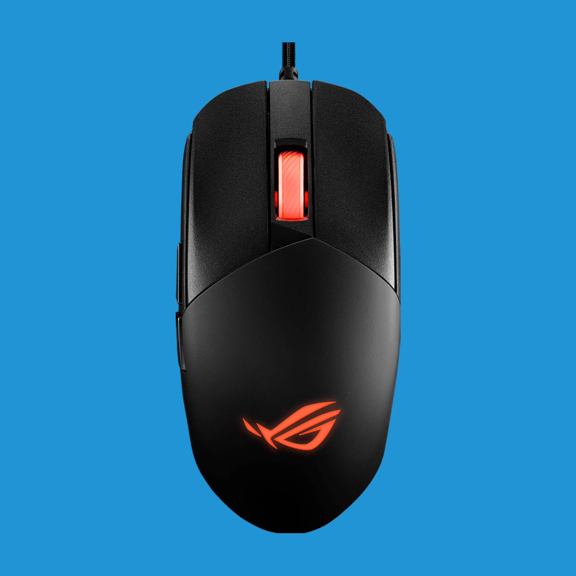mouse.jpg