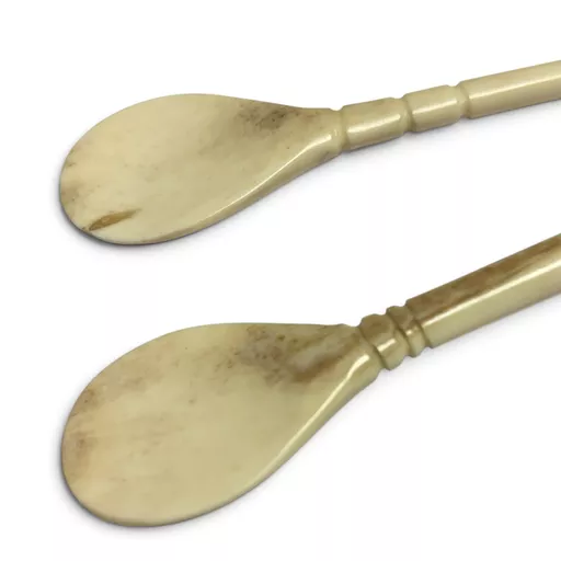 Bone Spoon 1.jpg