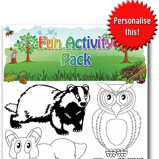 WILDLIFE FUN ACTIVITY Pack - Pack of 100 - MP3438