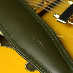 BS63 dark green DSC_0205.jpg