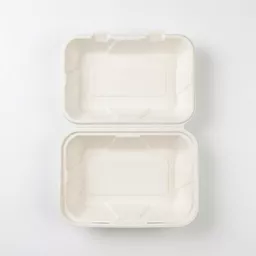 _0000s_0001_9 x 6_ Bagasse Food Container.jpg