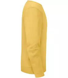 262M%20MUS%20LEFT.jpg?