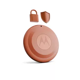 KEkVPxRuT06qGVagvcZJ-w.c-r.jpg?