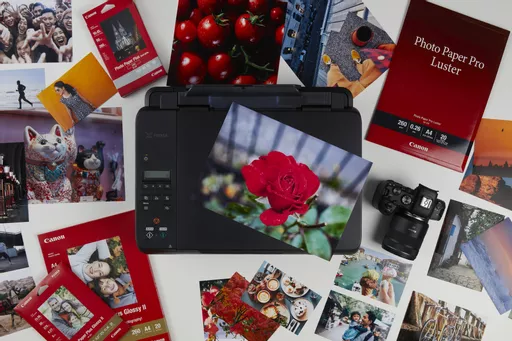 SX4HZEexREu1M3VhBrsnuQ.c-r.jpg?