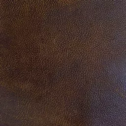 1693652052-36842400.jpg?