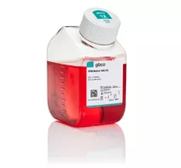 1770207277e28625a570c9abd3c4c4b0b5dc7fe60f.png?