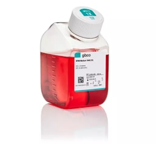 1770207277e28625a570c9abd3c4c4b0b5dc7fe60f.png?