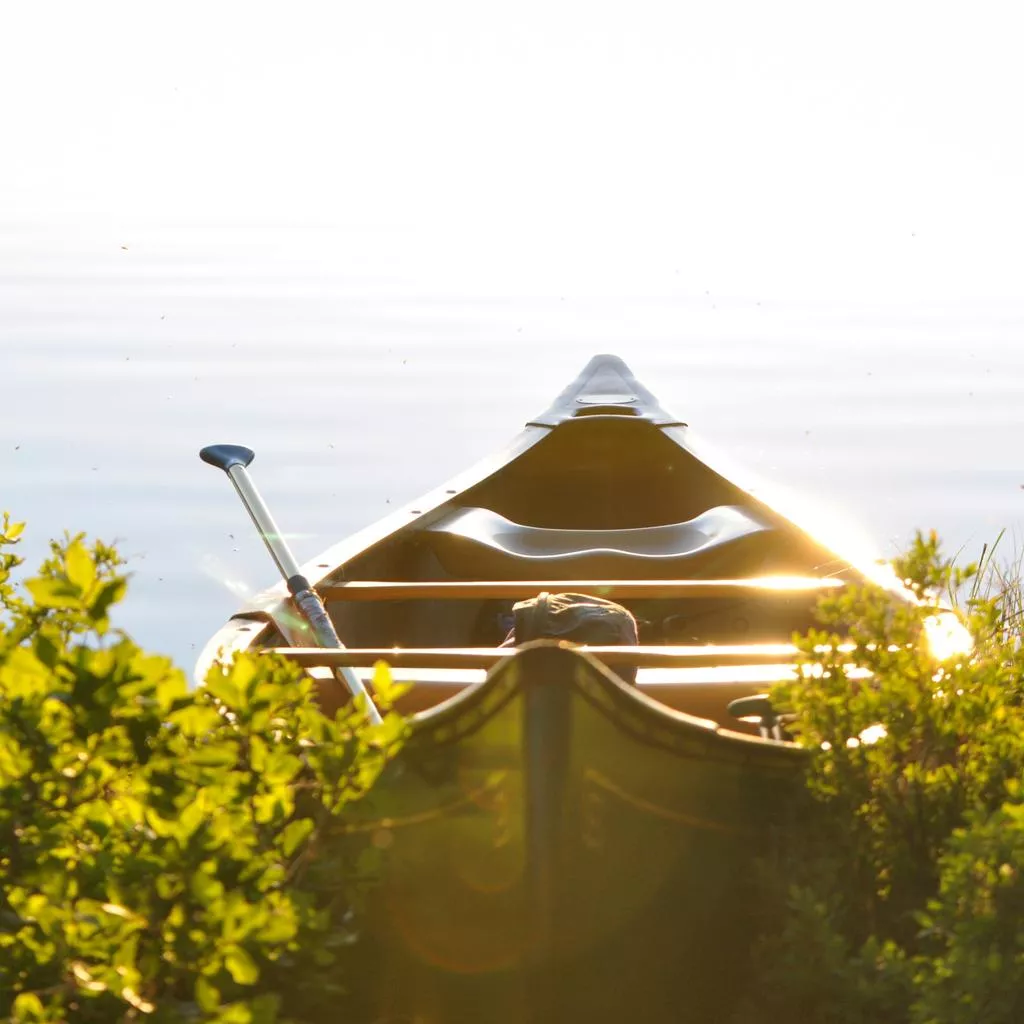 Lorem Ipsum Dolor Sit Amet, Consectetur Adipiscing Elit