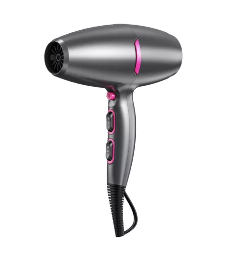 Neon High Torque DC Hair Dryer