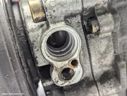 4262dca2-518d-4315-ad97-7b0fcf4535d6.jpeg?