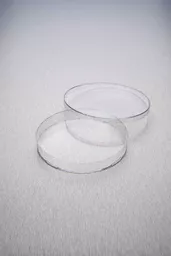 1770209168f582d43a4d481bb118367ae086f283ce.png?