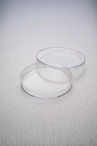 1770209168f582d43a4d481bb118367ae086f283ce.png?