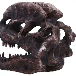 Dilophosaurus Skull (6).jpg