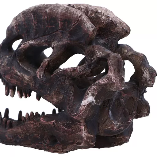 Dilophosaurus Skull (6).jpg