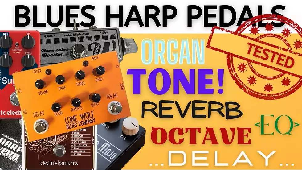 liam pedal review.jpg