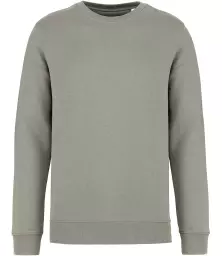 NS400%20ALG%20FRONT.jpg?