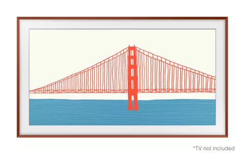 Samsung VG-SCFA65TRCXC TV accessory