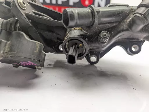 1c75ab5c-3d26-41db-b3c4-435ec00f083e.jpeg?