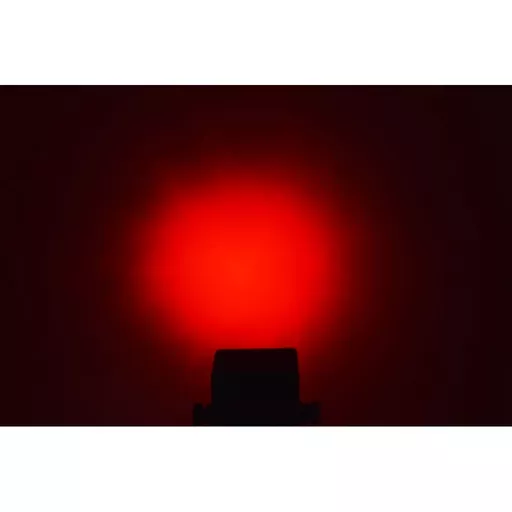 1699548446-70934200.jpg?