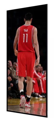 Pana 105X_portrait tilt.png