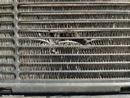 491da72f-e542-4426-b479-1fd3301efd6d.jpeg?