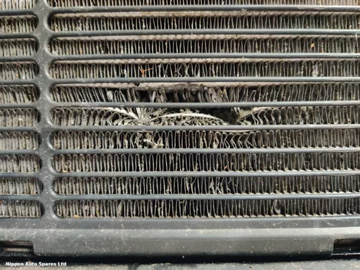 491da72f-e542-4426-b479-1fd3301efd6d.jpeg?