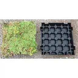 Mr Green Roof Modular Sedum Tray Separate.jpg