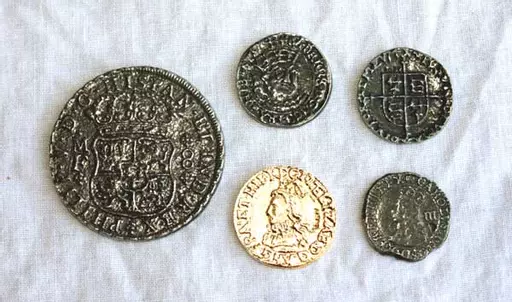 5 x Misc Pirate Coins