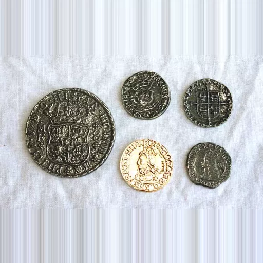 5 x Misc Pirate Coins