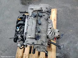 1a2c900c-e65d-4dd9-aa54-8a56d14a0465.jpeg?