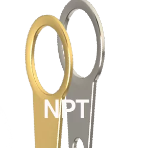 Brass NPT Earth Tags