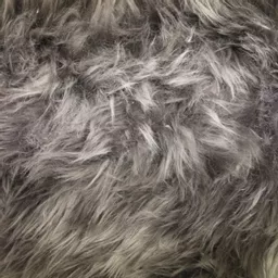 1731151298-60332300.jpg?
